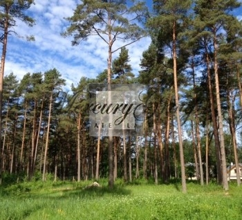 A sunny building plot of land in Jurmala, Asari for sale...