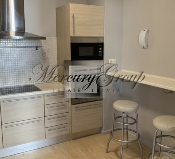 Modern apartment in the city center for rent