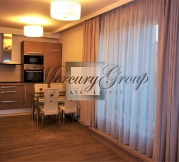 An exclusive one bedroom apartment with terace for rent