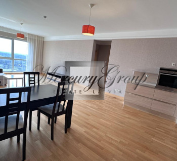 Apartment for rent in Panorama Plaza.
