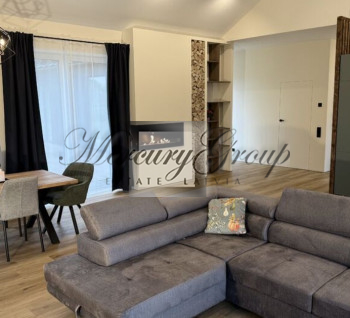 Energy-efficient house for rent