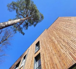 PineWood ir mājīgs projekts ar priežu ieskautiem luksusa dzīvokļiem